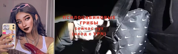 мдпв Киренск