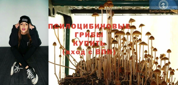 мдпв Киренск