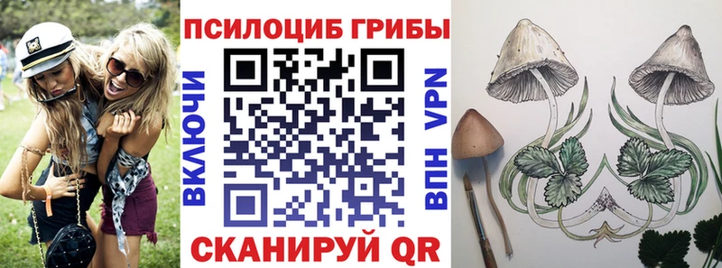 купить наркоту  Малоархангельск  нарко площадка состав  Псилоцибиновые грибы мухоморы 